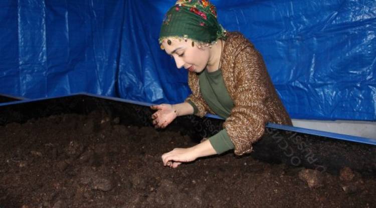 3 milyon solucanla gübre üreten çiftçi kadın